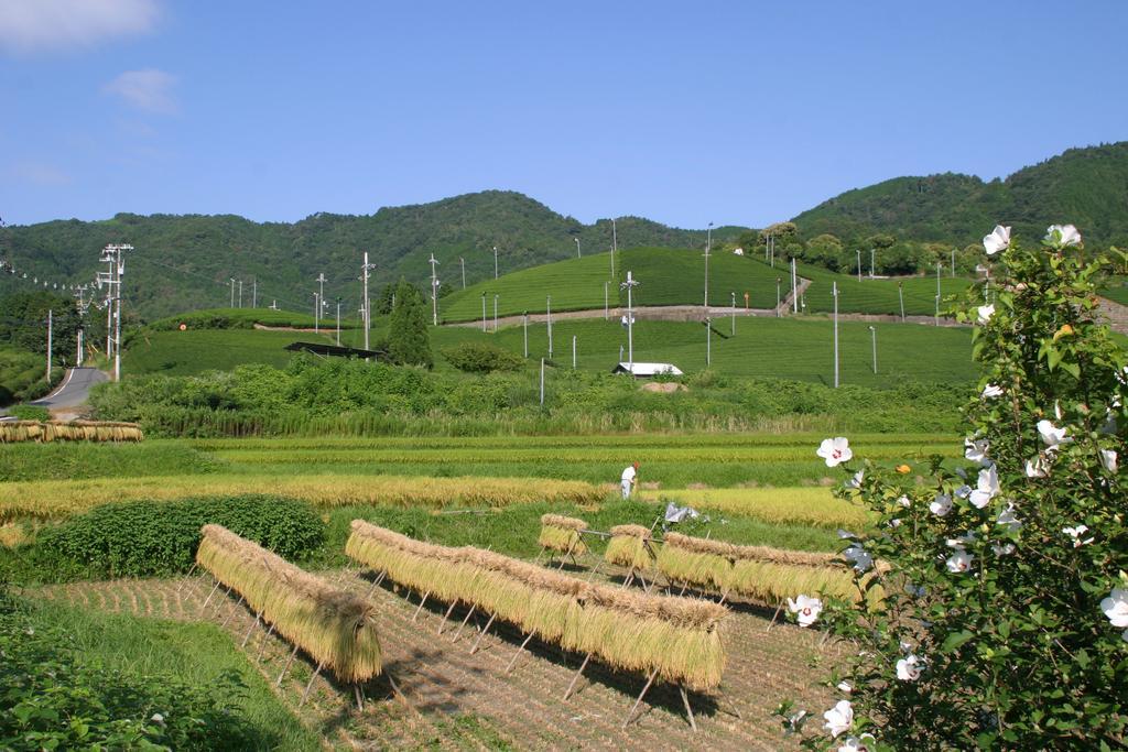 Kyoto Wazukaso Hotell Kizugawa Exteriör bild