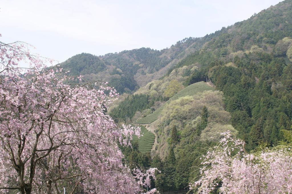 Kyoto Wazukaso Hotell Kizugawa Exteriör bild